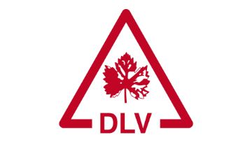 Sistema Tessior para o tratamento das DLV
